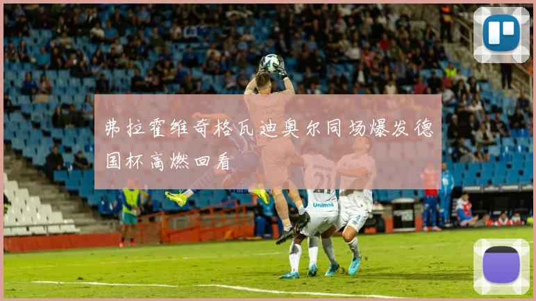 弗拉霍维奇格瓦迪奥尔同场爆发德国杯高燃回看 - 九游体育网址