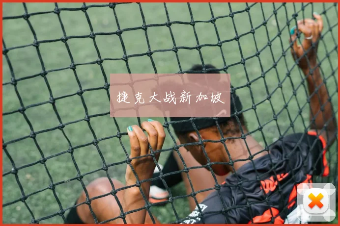 捷克大战新加坡 - 九游体育网址