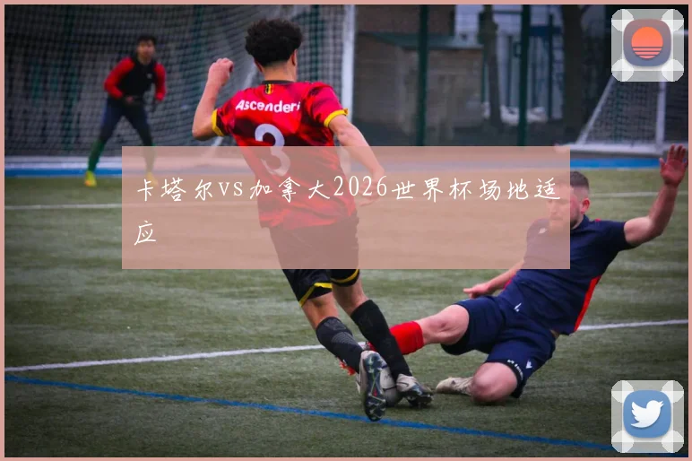 卡塔尔vs加拿大2026世界杯场地适应 - 九游体育网址