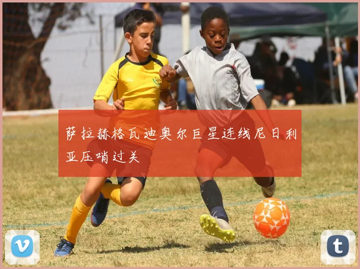 萨拉赫格瓦迪奥尔巨星连线尼日利亚压哨过关 - 九游体育网址